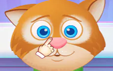 Animal Care - Free Online Game